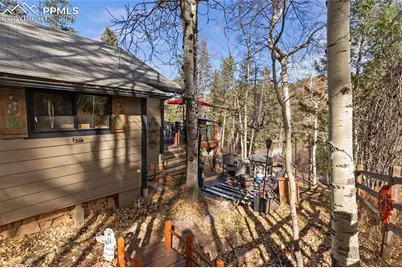 10155 Mountain Road, Cascade, CO 80809 - Photo 9