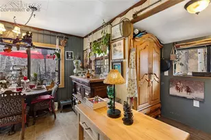 10155 Mountain Rd, Cascade, CO 80809 - Photo 23