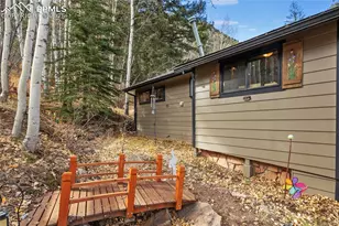 10155 Mountain Rd, Cascade, CO 80809 - Photo 5