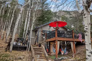 10155 Mountain Rd, Cascade, CO 80809 - Photo 45