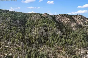 10155 Mountain Rd, Cascade, CO 80809 - Photo 41