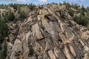 10155 Mountain Rd, Cascade, CO 80809 - Photo 43