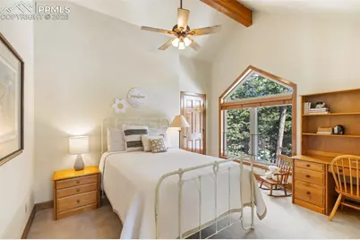 775 Skyline Drive, Woodland Park, CO 80863 - Photo 33