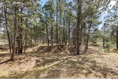 11165 Pine Meadows Road, Colorado Springs, CO 80908 - Photo 39