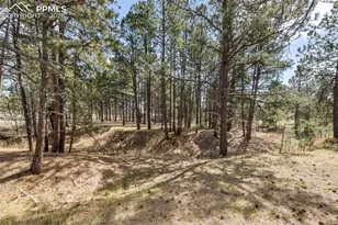 11165 Pine Meadows Rd, Colorado Springs, CO 80908 - Photo 39