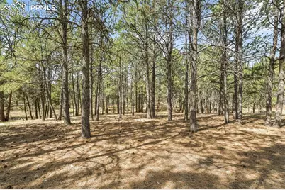 11165 Pine Meadows Road, Colorado Springs, CO 80908 - Photo 41