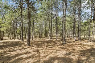 11165 Pine Meadows Rd, Colorado Springs, CO 80908 - Photo 41