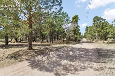 11165 Pine Meadows Road, Colorado Springs, CO 80908 - Photo 43