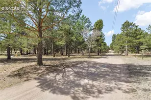 11165 Pine Meadows Rd, Colorado Springs, CO 80908 - Photo 43