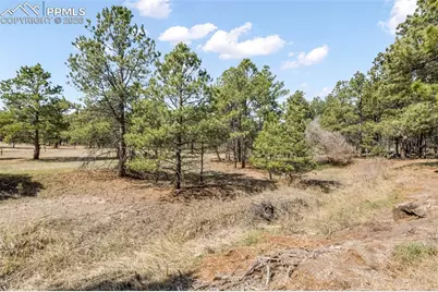 11165 Pine Meadows Road, Colorado Springs, CO 80908 - Photo 35