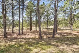 11165 Pine Meadows Rd, Colorado Springs, CO 80908 - Photo 29