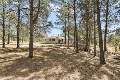 11165 Pine Meadows Road, Colorado Springs, CO 80908 - Photo 37