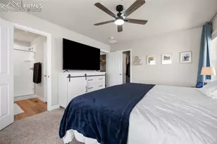 4047 Ryedale Wy, Colorado Springs, CO 80922 - Photo 19