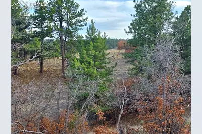 204 Pine Road, Florissant, CO 80816 - Photo 19