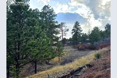 204 Pine Road, Florissant, CO 80816 - Photo 17