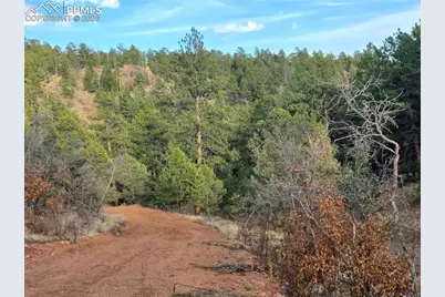 204 Pine Road, Florissant, CO 80816 - Photo 19