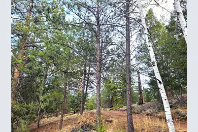 204 Pine Road, Florissant, CO 80816 - Photo 17