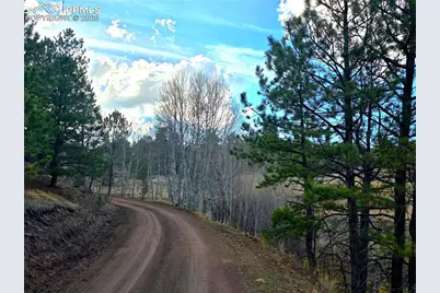 204 Pine Road, Florissant, CO 80816 - Photo 25