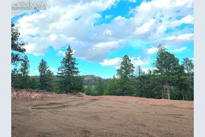 204 Pine Road, Florissant, CO 80816 - Photo 15