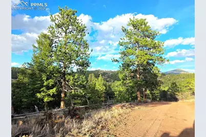 204 Pine Road, Florissant, CO 80816 - Photo 25