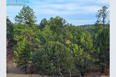 204 Pine Road, Florissant, CO 80816 - Photo 21