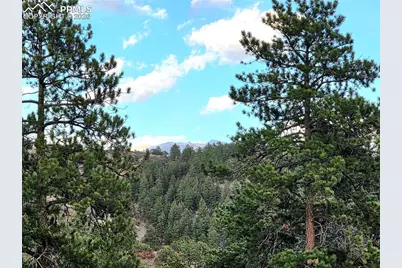 204 Pine Road, Florissant, CO 80816 - Photo 27