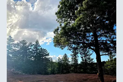 204 Pine Road, Florissant, CO 80816 - Photo 11