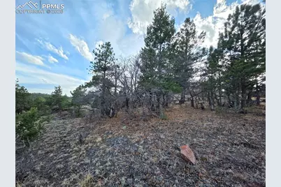 204 Pine Road, Florissant, CO 80816 - Photo 23