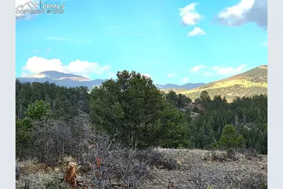 204 Pine Road, Florissant, CO 80816 - Photo 13