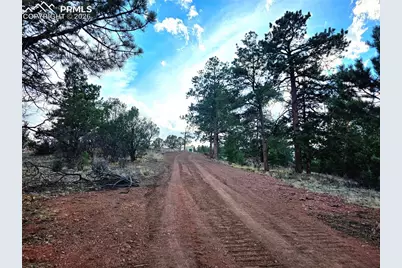 204 Pine Road, Florissant, CO 80816 - Photo 11