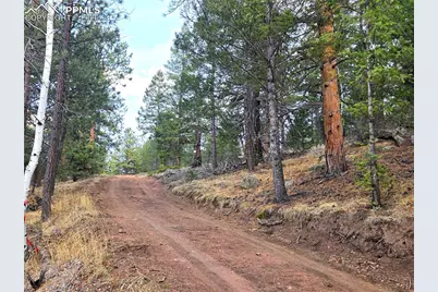 204 Pine Road, Florissant, CO 80816 - Photo 9