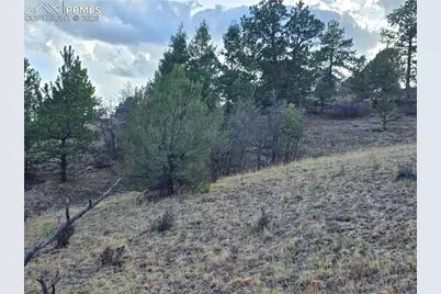 204 Pine Road, Florissant, CO 80816 - Photo 23