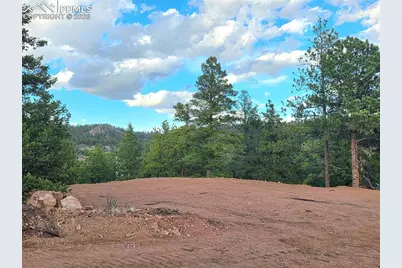 204 Pine Road, Florissant, CO 80816 - Photo 15