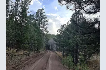 204 Pine Road, Florissant, CO 80816 - Photo 27