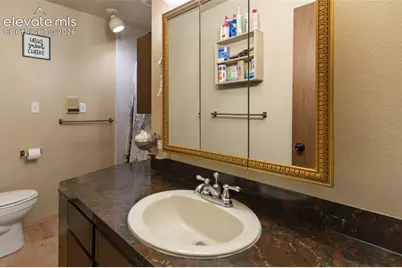 10311 El Paso Avenue, Green Mountain Falls, CO 80819 - Photo 25