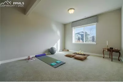 10127 Barbour Fork Court, Colorado Springs, CO 80924 - Photo 29