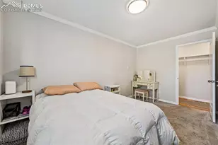 3707 Blue Merion Ct, Colorado Springs, CO 80906 - Photo 29