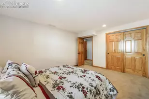 1116 Ptarmigan Dr, Woodland Park, CO 80863 - Photo 41