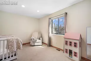 1116 Ptarmigan Dr, Woodland Park, CO 80863 - Photo 29