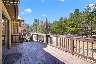 1116 Ptarmigan Dr, Woodland Park, CO 80863 - Photo 19