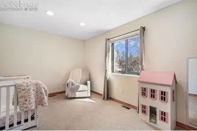 1116 Ptarmigan Drive, Woodland Park, CO 80863 - Photo 29