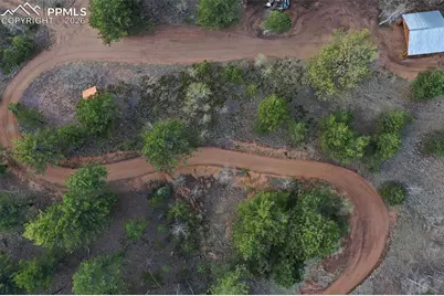 185 Wildcat Creek Drive, Florissant, CO 80816 - Photo 43