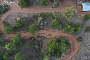 185 Wildcat Creek Dr, Florissant, CO 80816 - Photo 43