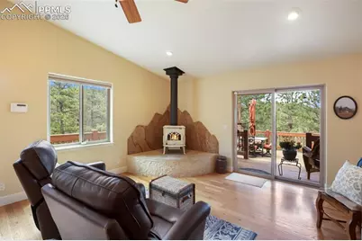 185 Wildcat Creek Drive, Florissant, CO 80816 - Photo 9