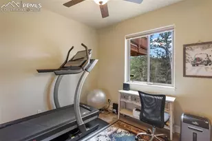 185 Wildcat Creek Dr, Florissant, CO 80816 - Photo 33