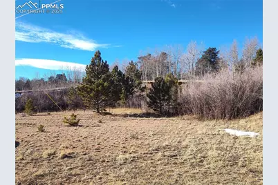 29 Hidden Valley Drive, Florissant, CO 80816 - Photo 9