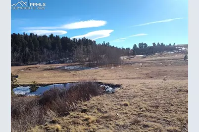 29 Hidden Valley Drive, Florissant, CO 80816 - Photo 13