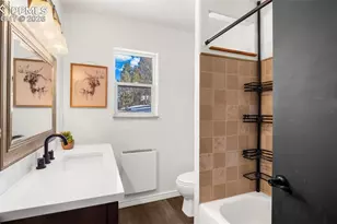 104 Mt Elbert Dr, Florissant, CO 80816 - Photo 21