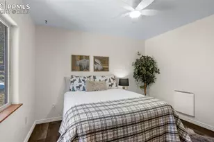 104 Mt Elbert Dr, Florissant, CO 80816 - Photo 19