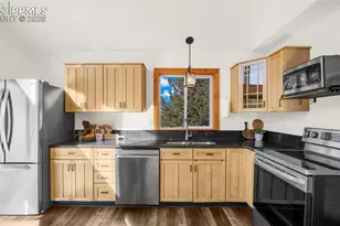 104 Mt Elbert Dr, Florissant, CO 80816 - Photo 11